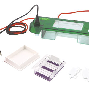 Célula de Electroforesis Horizontal YG1664