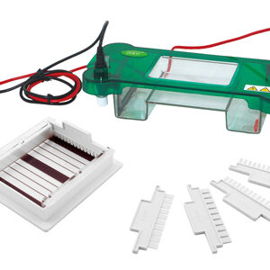Electroforesis Horizontal YG1565