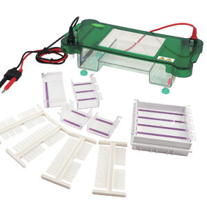 Electroforesis Horizontal YG1566