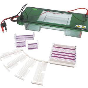 Electroforesis Horizontal YG1567