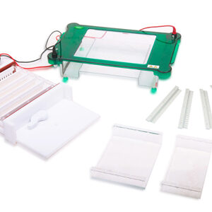 Electroforesis Horizontal YG1569