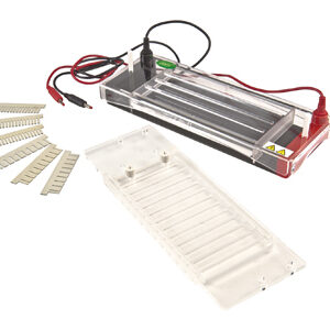Electroforesis Horizontal YG1571