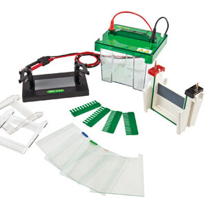 Célula de Electroforesis Vertical Mini-Protean YG1574