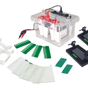 Celda de Electroforesis Vertical Mini-Protean YG1575