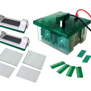 Célula de Electroforesis Vertical Mini-Protean YG1576