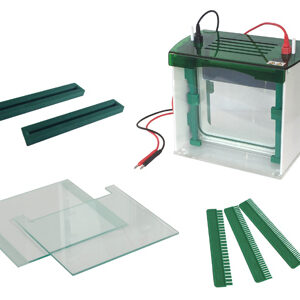 Celda de Electroforesis en Gel Vertical YG1578