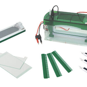 Electroforesis Vertical Rápida SSR YG1579